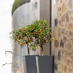 Marilena Natural Stone House, By Hellocrete בית נופש *