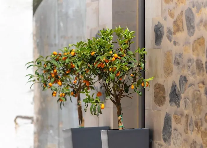 Marilena Natural Stone House, By Hellocrete Nyaraló *